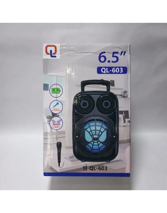 Taşınabilir 6,5 İnç Açık Hava Kablosuz Bluetooth Hoparlör Ql-603