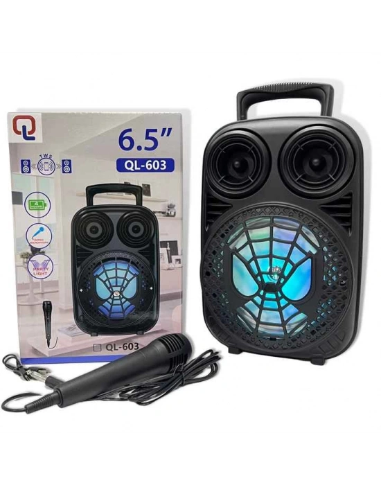 Taşınabilir 6,5 İnç Açık Hava Kablosuz Bluetooth Hoparlör Ql-603