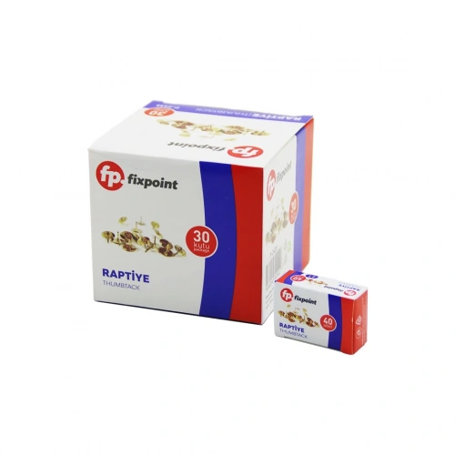 Egonex Fixpoint P-2435 ( 40pcs ) Metal Raptiye ( Kutulu )*30x40