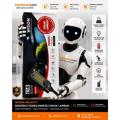 Wison WS-6777 300W Sokak Lambası