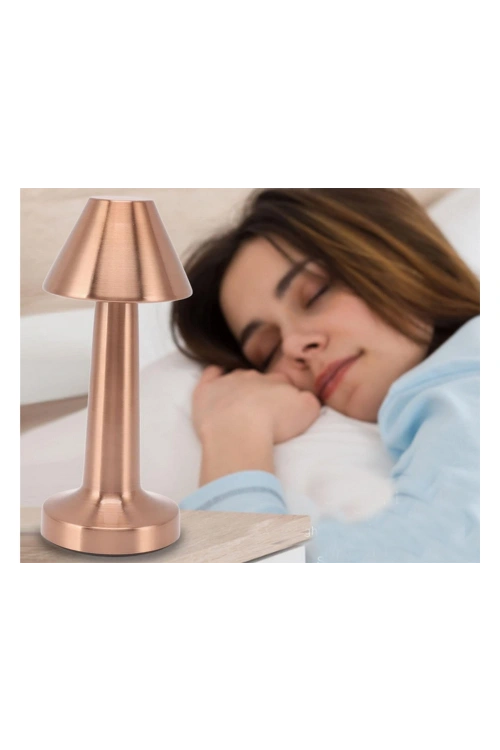 Biradlı Şarj Edilebilir Masa Lambası