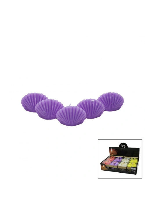 Egonex Maxımum Max-2414 ( 5pcs & İstiridye ) Renkli Kokulu Mum*20x8