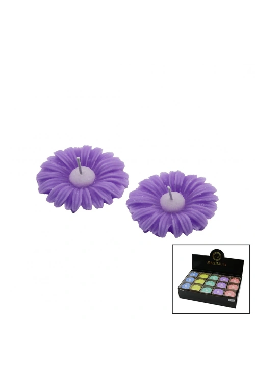 Maximum Max-2352 ( 2pcs ) ( Papatya Modeli ) ( Renkli & Kokulu ) Mum*50x1