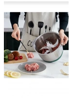 5 Litre 5 Bıçaklı Blender Kıyma Dograyıcı Robot Rondo