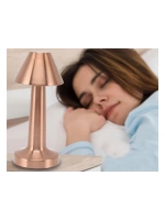 Biradlı Şarj Edilebilir Masa Lambası