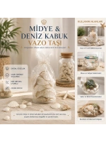 Egonex İbico İ12-252 ( Poşetli ) ( Renkli Mix ) Midye & Deniz Kabuk Vazo Taşı*50