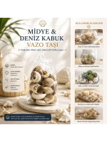 Egonex İbico İ12-252 ( Poşetli ) ( Renkli Mix ) Midye & Deniz Kabuk Vazo Taşı*50