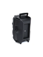 Egonex Platoon Pl-4681 Ao-835-832 Karaoke ( Mikrofonlu ) Wireless Hoparlör & Speaker ( Işıklı ) ( Usb Şarjlı ) ( Dc 5v & Tf & Aux ) ( 8 Inch )*10
