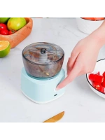 Ev Tipi Küçük Çok Fonksiyonlu Kıyma, Sebze, Sarımsak Ezmesi