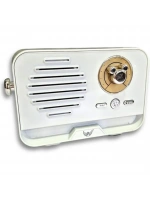 Platoon Bluetooth 5.3 Mini Retro Radyo PL-4707