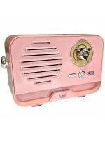 Platoon Bluetooth 5.3 Mini Retro Radyo PL-4707