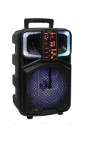 Platoon Usb+SD+Bluetooth Hoparlör Çek Çek 8 İnç RGB Işıklı ( CH-833 )