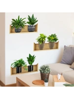 Raflı Bitki Tasarımlı Yapışkanlı Sticker 20*30 Cm 3lü Set Mc-663