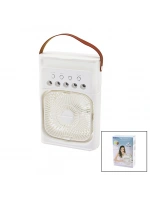 Wınnboss Ekl-13 (3in1) (hava Nemlendirme & Fan & Gece Lambası) (masa Üstü) Buzlu Vantilatör (360°)(usb Şarj) (3kdm Hız)*40