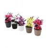 Egonex Evidecor ( Orkide ) Yapay Çiçek ( Plastik Saksı )*30=k