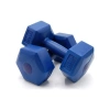 Egonex Mrt Spor ( 2kg ) Plastik Köşeli Dambıl ( 2pcs )*1
