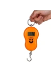 Dijital El Terazisi El Kantarı 50 Kg / 10 Gr