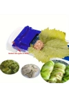 Egonex Sarma Aracı Dolma Sushi Mutfak Barı İçin Türk Dolma Yaprak Sarma Aracı Rulo Makinesi