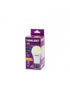 Egonex Thorlıght A-60 12b ( 12.3w ) E27 Günışık Led Ampul*10x6