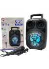 Taşınabilir 6,5 İnç Açık Hava Kablosuz Bluetooth Hoparlör Ql-603