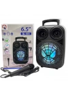Taşınabilir 6,5 İnç Açık Hava Kablosuz Bluetooth Hoparlör Ql-603