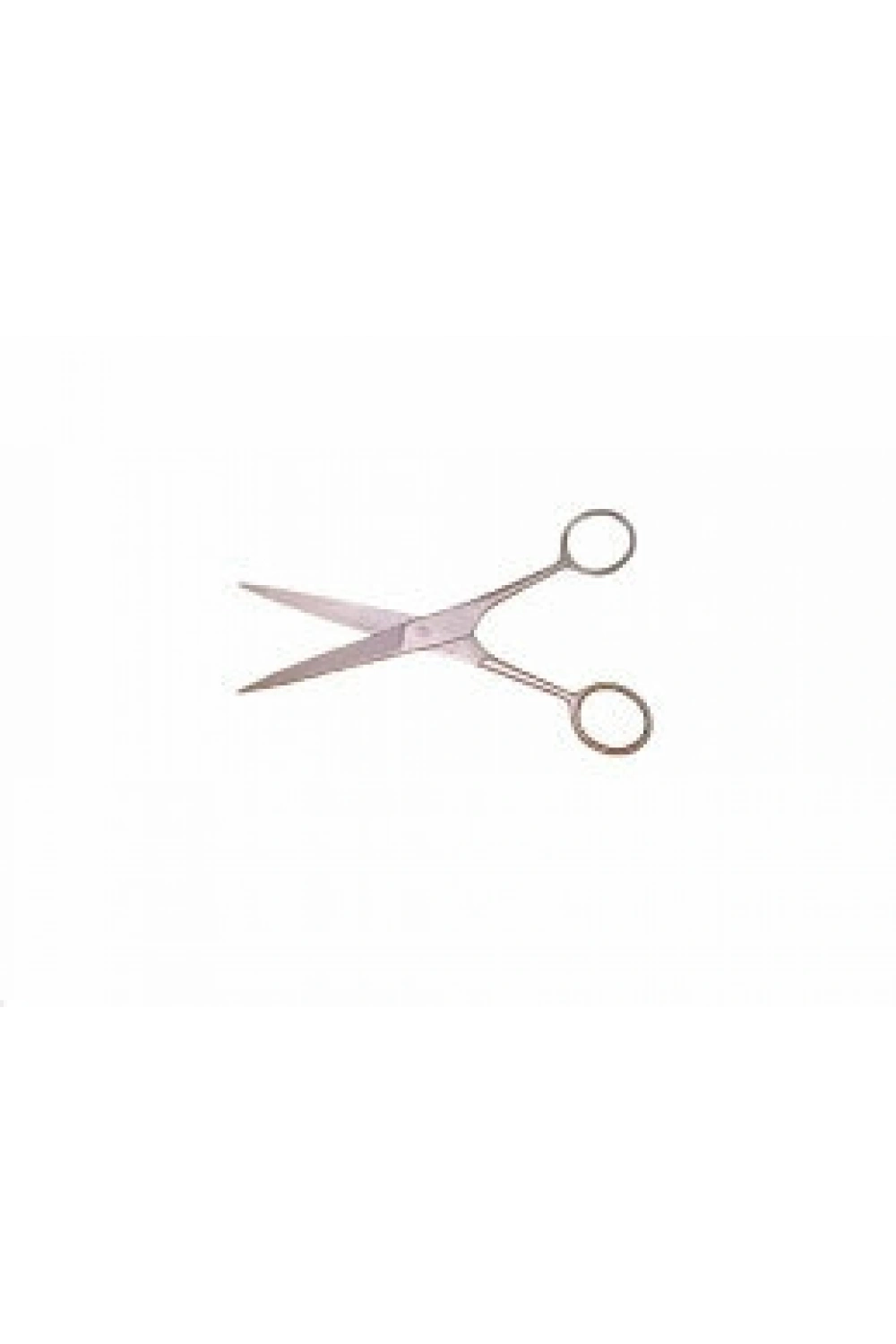 Egonex Bolex Gümüş  No-5 Gümüş Bıyık Berber Makası*12x50