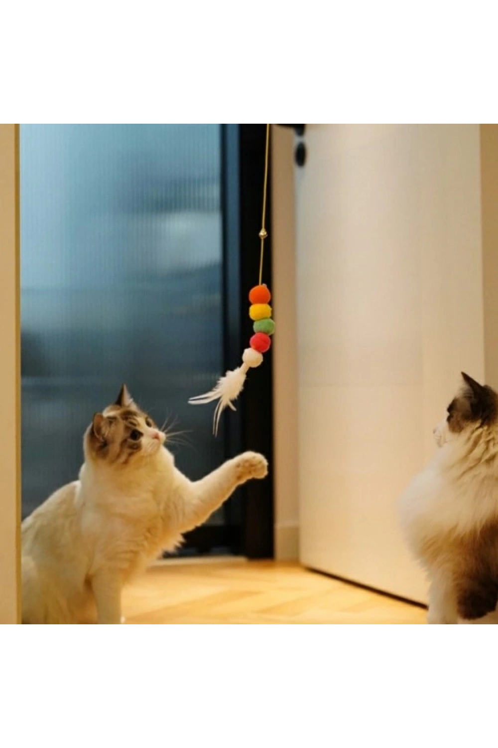 Elastik Kendinden Yapışkanlı Solucan Kedi Oltası