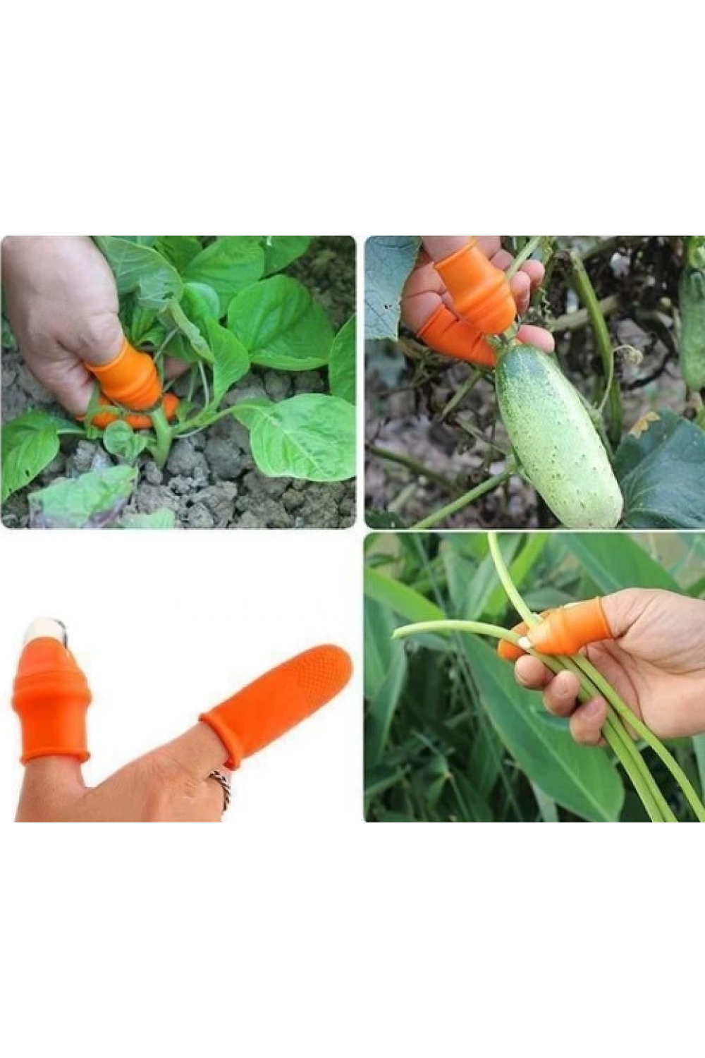 Pratik Baş Parmak Sebze Kesme Ayıklayıcı Erkek L Set