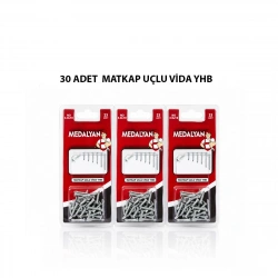 Egonex Medalyan Dl-100 ( 3.9x19 ) ( 30pcs ) Matkap Uçlu Vida*12x12