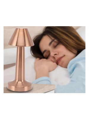 Biradlı Şarj Edilebilir Masa Lambası