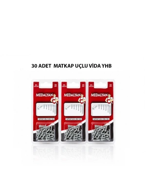 Egonex Medalyan Dl-100 ( 3.9x19 ) ( 30pcs ) Matkap Uçlu Vida*12x12