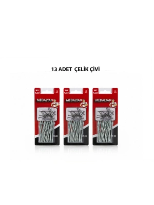 Egonex Medalyan Dl-23 ( 4x60 ) ( 13pcs ) ( Beton ) Çelik Çivi*12x12