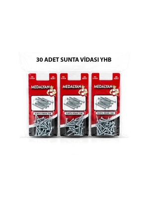 Egonex Medalyan Dl-97 ( 3.5x20 ) ( 30pcs ) Sunta Vidası*12x12