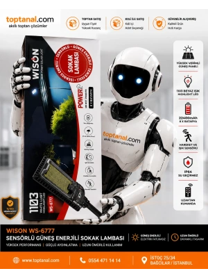 Wison WS-6777 300W Sokak Lambası