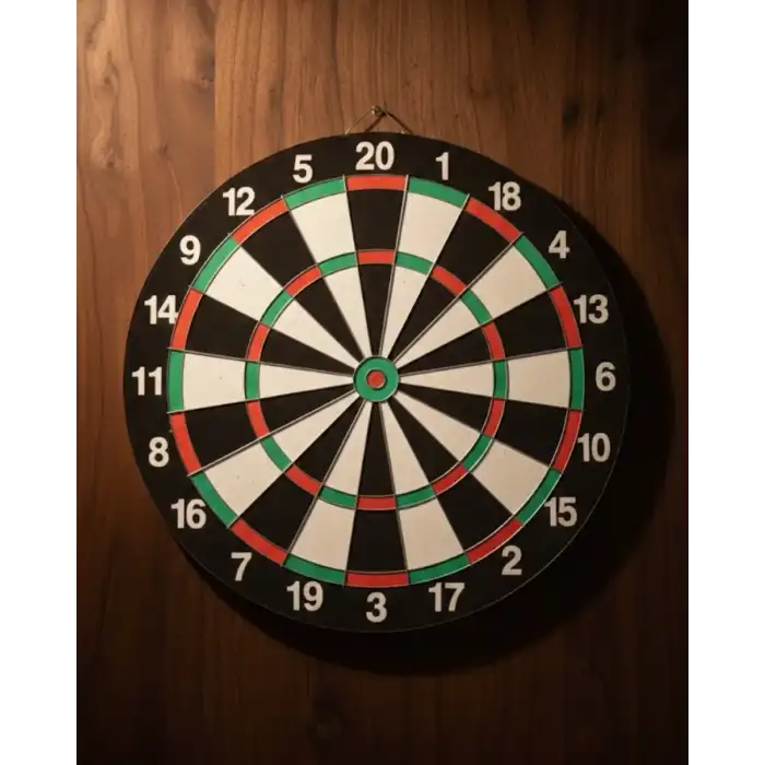AsilTech 15 İnç Dart Tahtası Seti Dayanıklı Yapı 4 Metal Dart Oku