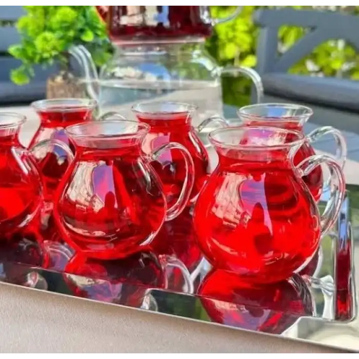 AsilTech Borosilikat Cam Bardak 6 Adet