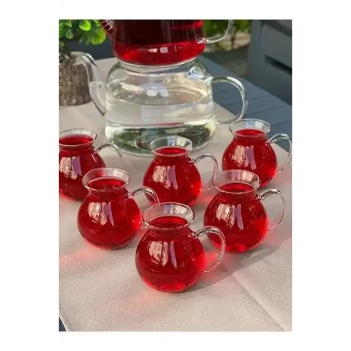 AsilTech Borosilikat Cam Bardak 6 Adet