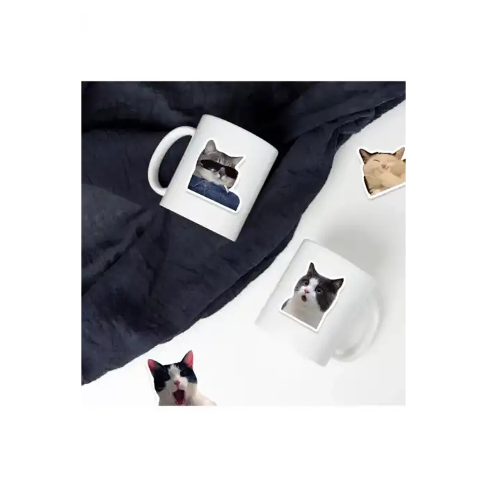 AsilTech Çılgın Kediler Macbook Notebook Tablet Telefon Ajanda Laptop Defter Sticker Seti