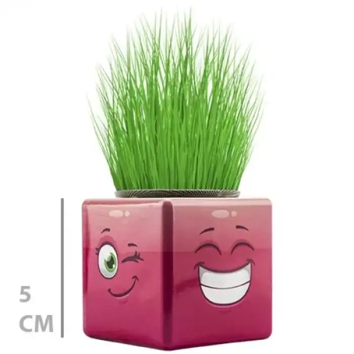 AsilTech Çim Adam Mini Küp Emoji Figürlü 1 Adet