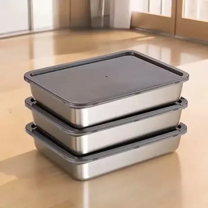 AsilTech Çok Amaçlı Paslanmaz Çelik Fırın ve Saklama Kabı (25x20x5 cm)