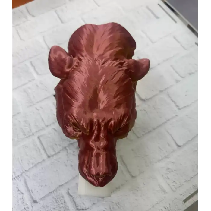 AsilTech Dekoratif Asılabilir Jaguar Başı 3D Duvar Heykeli Gold Red 20x16 cm