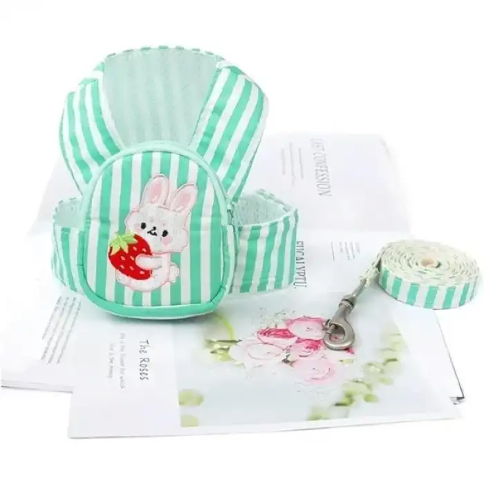 AsilTech Evcil Hayvan Çantalı Göğüs Gezdirme Tasması Seti