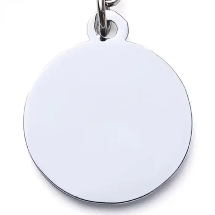 AsilTech Evcil Hayvan Klipsli Tasma Künyesi