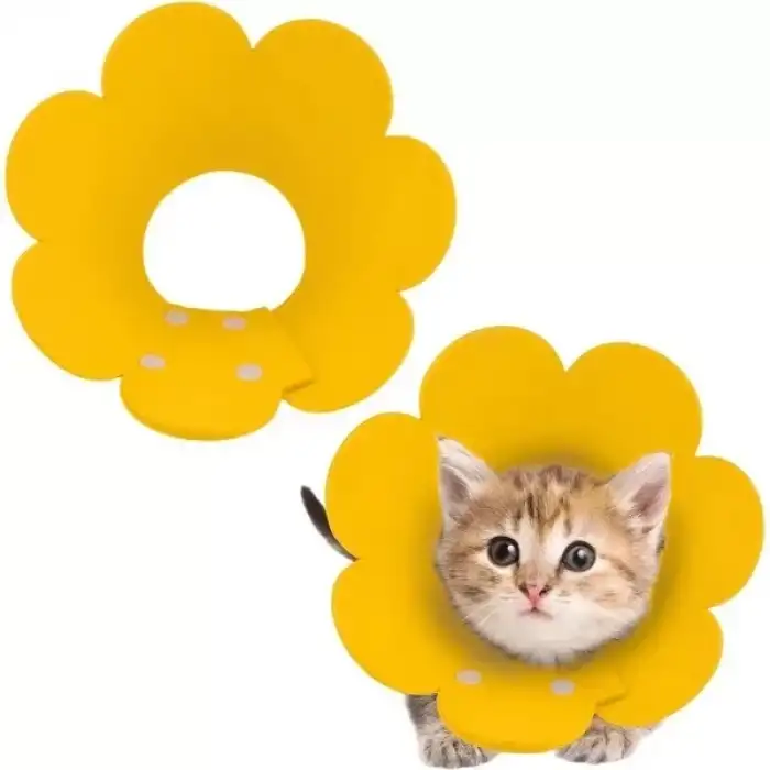 AsilTech Evcil Hayvan S Boy Keçe Elizabeth Yakalığı