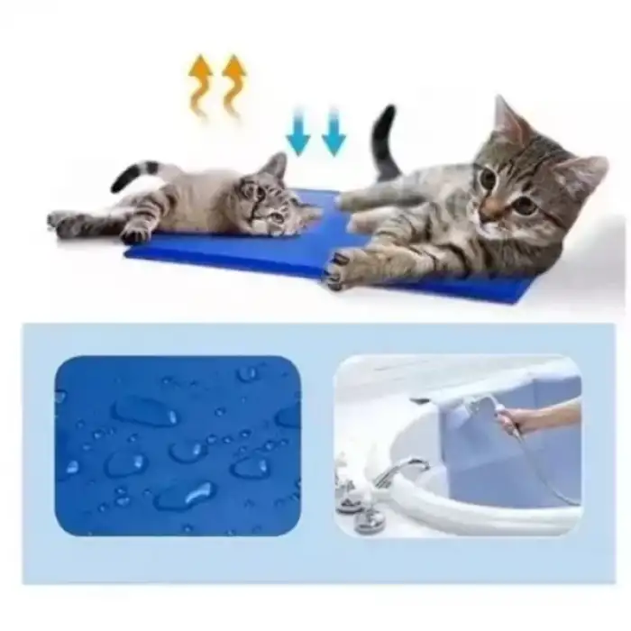 AsilTech Evcil Hayvan Soğutucu Yatak Mat 50x90 cm