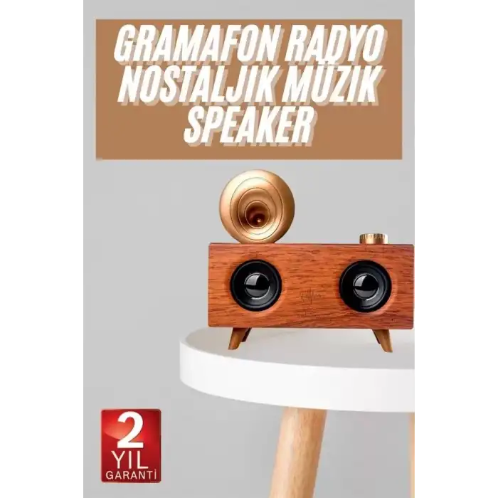 AsilTech Gramafon Nostaljik Radyo Yüksek Ses Kalitesi USB TF Kart Aux