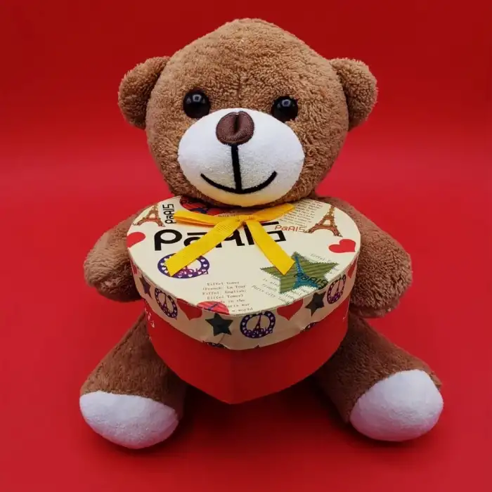 AsilTech Hediyelik Kahverengi Kutulu Ayıcık