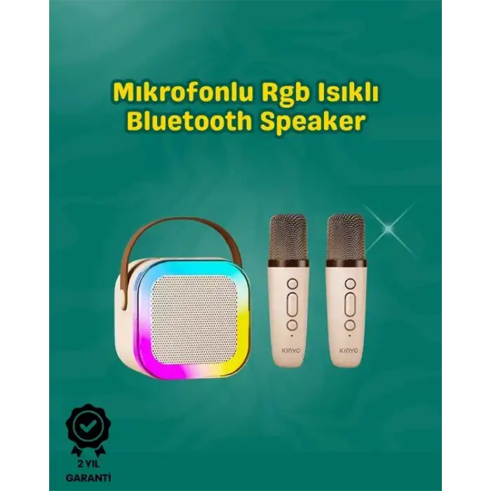 AsilTech İki Mikrofonlu Renkli LED Işıklı Karaoke Cihazı