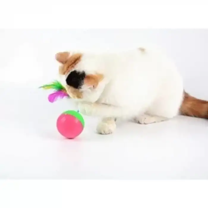 AsilTech Kedi Fare Hacıyatmaz Oyunu