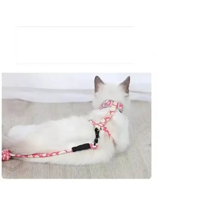 AsilTech Kedi Gezdirme Göğüs Tasması